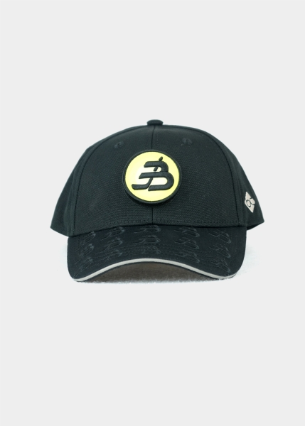 Cap "Eisblog Transformer" - schwarz (Curved)